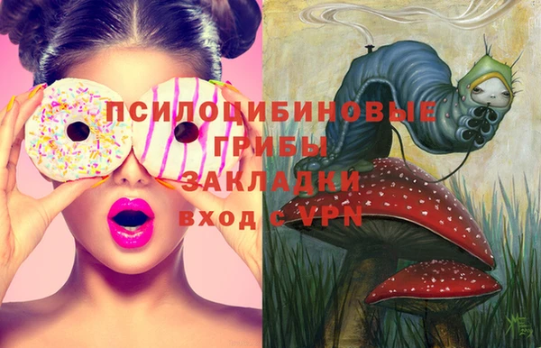 а пвп мука Алзамай