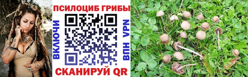 мориарти формула  продажа наркотиков  Когалым  Псилоцибиновые грибы Cubensis 